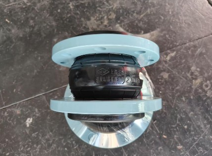 �����φ����w���z���^